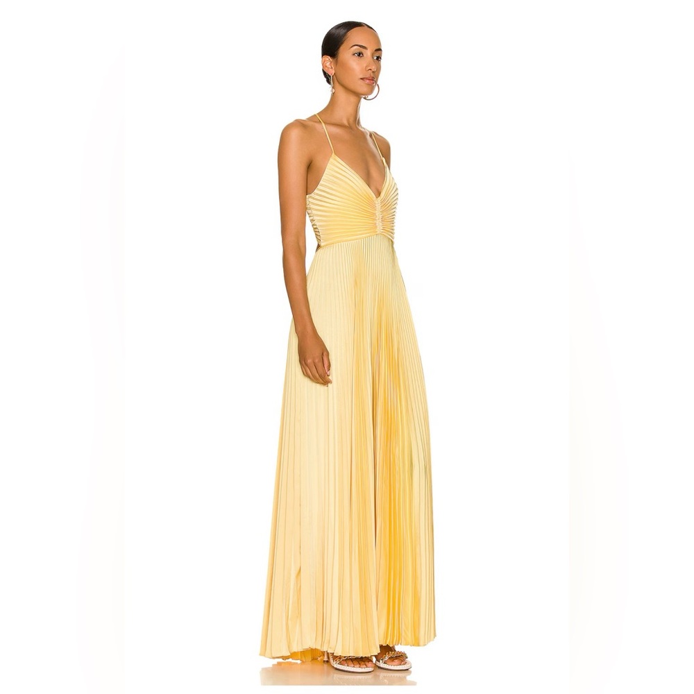 ALC ARIES Dress / Gown -PINA 4